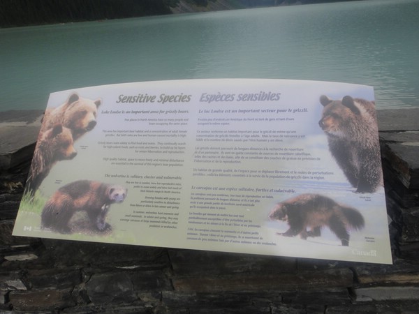 DSC02767.JPG
