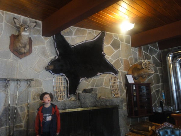 DSC02870.JPG