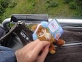 DSC02661.JPG