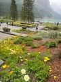 DSC02733.JPG
