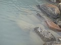 DSC02764.JPG