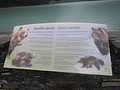 DSC02767.JPG