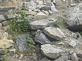 DSC02796.JPG