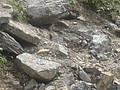 DSC02797.JPG