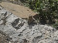 DSC02798.JPG