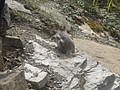 DSC02799.JPG