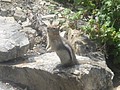 DSC02800.JPG