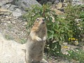 DSC02801.JPG