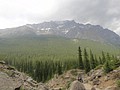 DSC02807.JPG