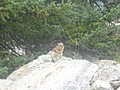 DSC02861.JPG