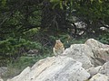 DSC02862.JPG