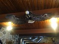 DSC02871.JPG