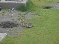 DSC02876.JPG