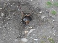 DSC02882.JPG