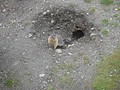 DSC02884.JPG
