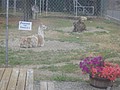 DSC02902.JPG