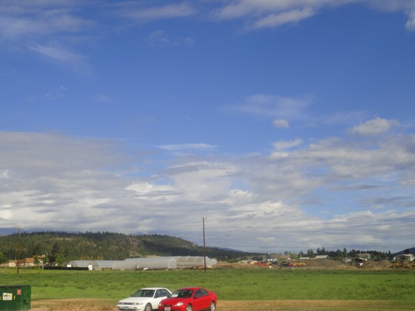 DSC02913.JPG