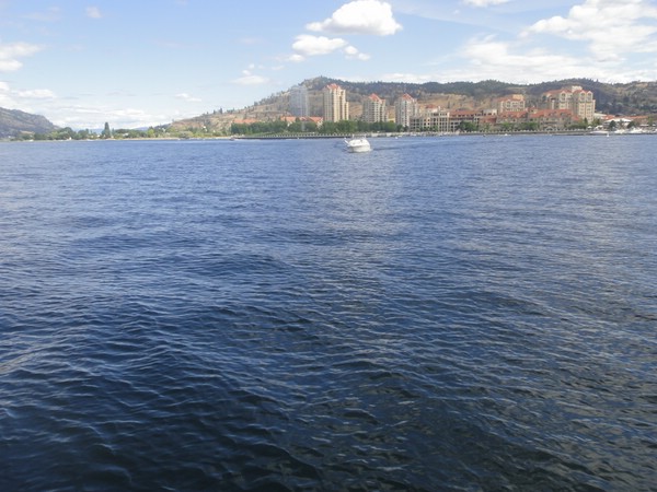 DSC02982.JPG