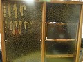 DSC02906.JPG