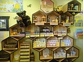 DSC02907.JPG