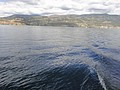 DSC02980.JPG