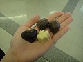 DSC03052.JPG