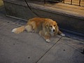 DSC03077.JPG