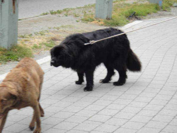 DSC03225.JPG