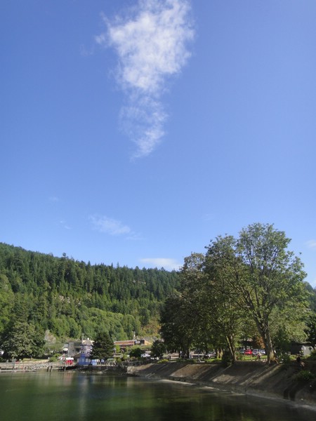 DSC03308.JPG