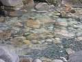 DSC03099.JPG