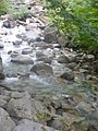 DSC03100.JPG