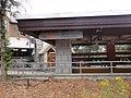 DSC03187.JPG