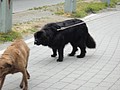 DSC03225.JPG