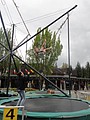 DSC03261.JPG