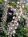 DSC03281.JPG