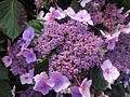 DSC03282.JPG