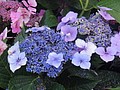 DSC03284.JPG