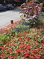 DSC03313.JPG