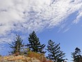 DSC03319.JPG