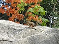 DSC03324.JPG