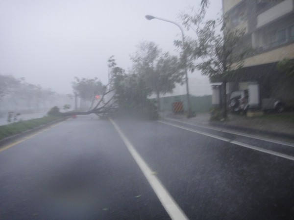 DSC03364.JPG