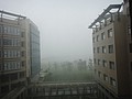 DSC03358.JPG