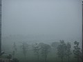 DSC03359.JPG