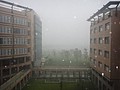 DSC03360.JPG