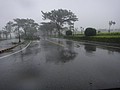 DSC03363.JPG