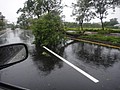 DSC03365.JPG