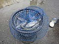DSC03367.JPG
