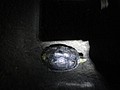 DSC03372.JPG