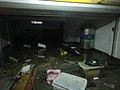 DSC03375.JPG