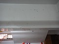 DSC03388.JPG
